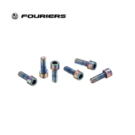 Stainless steel screws